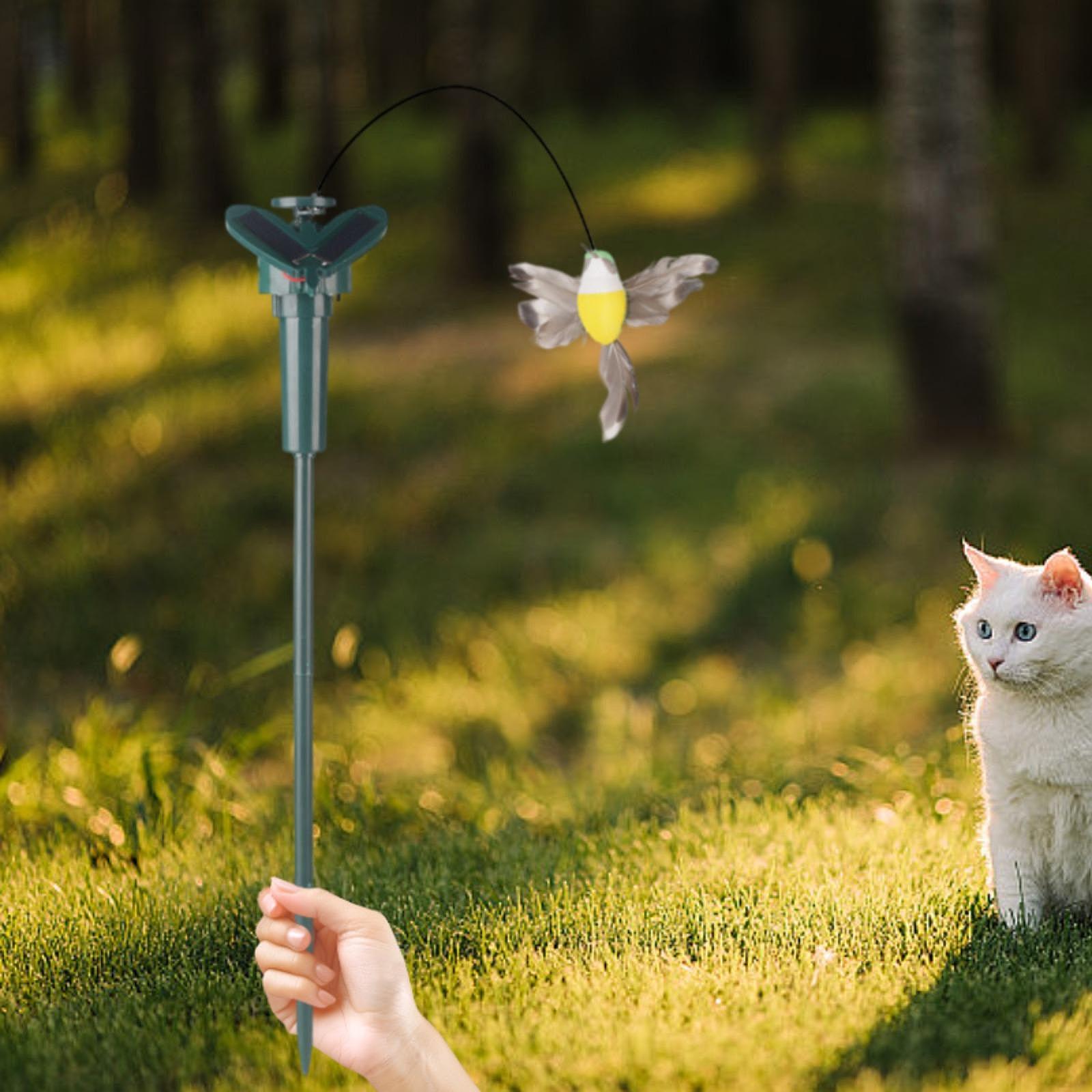 Solar Animal Garden Stake Mult - Outdoor Power For Gazebo review and price
