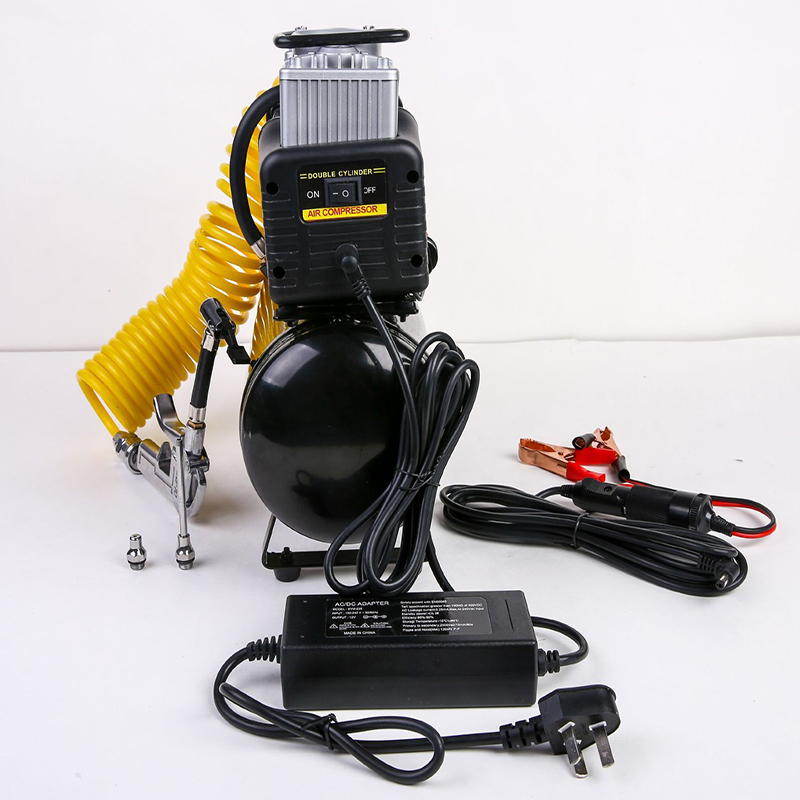 WAP01 2.5L 4L 12V 220V Air Com - Air Compressor Portable review and price