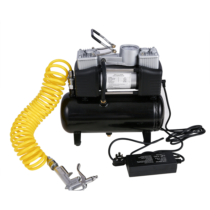 WAP01 2.5L 4L 12V 220V Air Com - Air Compressor Portable review and price