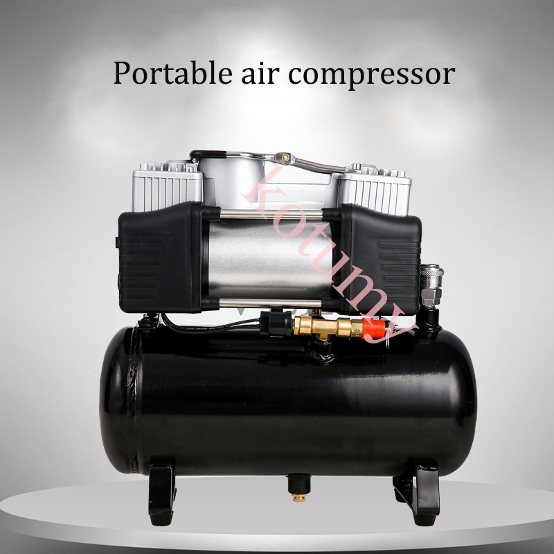 WAP01 2.5L 4L 12V 220V Air Com - Air Compressor Portable review and price